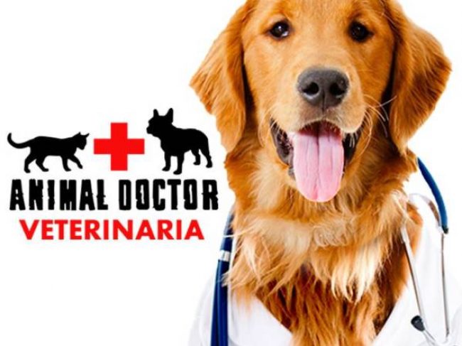 Animal Doctor Veterinaria