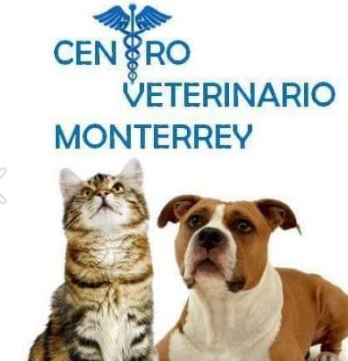 Centro Veterinario Monterrey