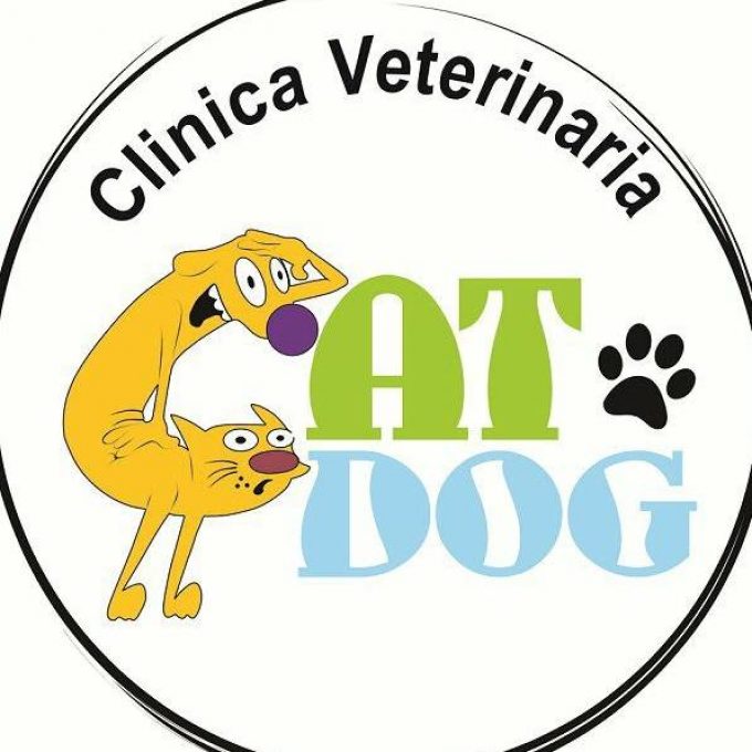 Clínica Veterinaria Cat Dog