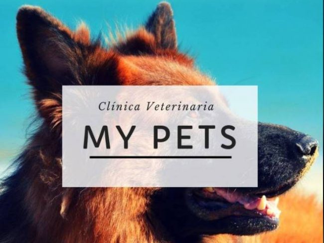 Clinica Veterinaria My Pets