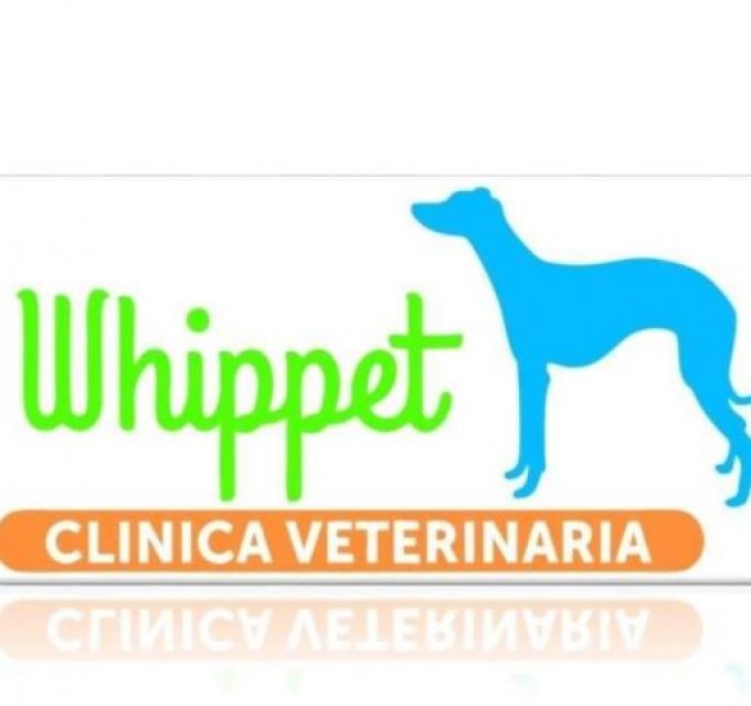 Clinica Veterinaria Whippet