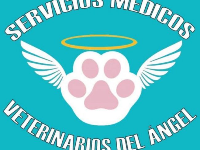 Servicios Medicos Veterinarios «Del Angel»