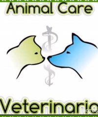 Veterinaria Animal Care