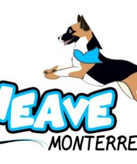 Weave Monterrey – Adestramiento Canino